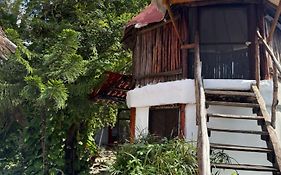 Tree House Tulum